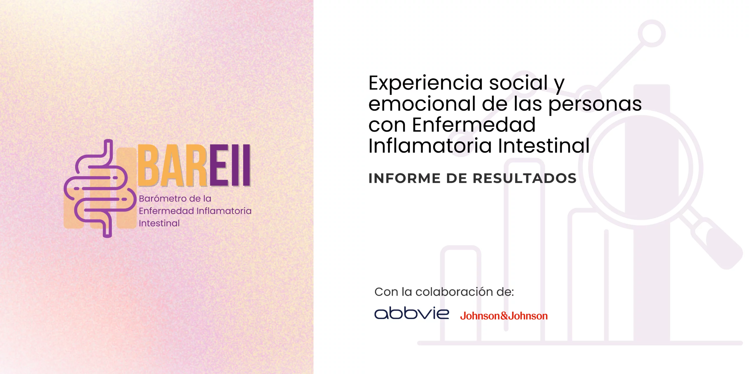 Disponible el segundo informe de BAREII